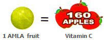 amla example